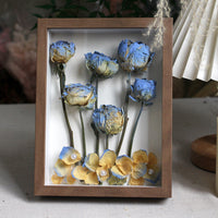 Eternal Bloom Walnut Shadow Box blue pearl preserved roses