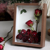 Everlasting Wishes Walnut Shadow Box red preserved roses with pearl accents